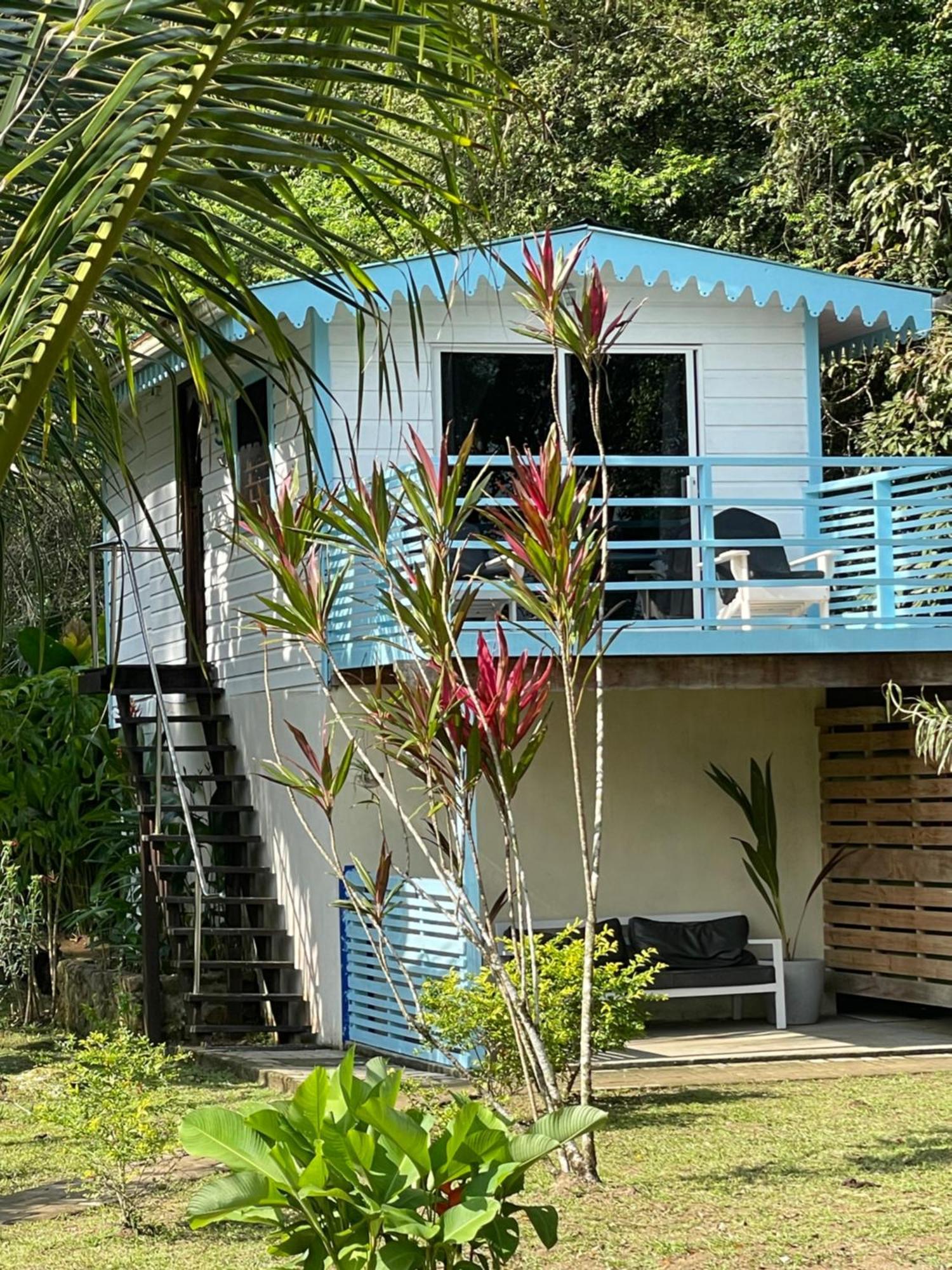 בוקס דל טורו Dolphin Blue Paradise מראה חיצוני תמונה